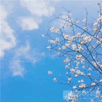 腾讯分分下载手机版