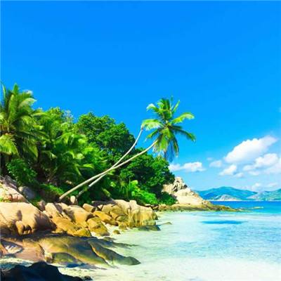 乐享8214CC官方下载