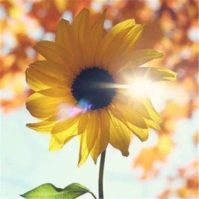 快3彩票官方下载