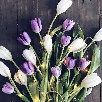 金沙乐娱app下载官网版