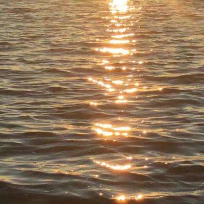 hth·华体育APPapp下载