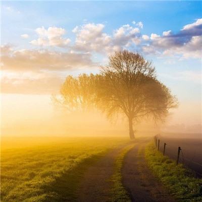 xk星空网官网登录入口